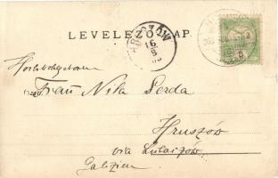 1903 Holics, Holic; Utcarészlet, híd / street, brige, photo (kis szakadás / small tear)