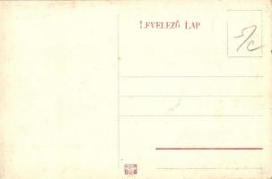 Mezőlaborc, Medzilaborce; Schönfeld Dávid vegyes- és bútorkereskedése / shop