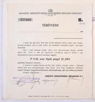 Budapest 1903. "Budapesti villamos városi vasút részvény-társaság" élvezeti jegye, hozzá t...