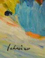 Schéner Mihály (1923-2009): Öböl. Olaj, farost, jelzett, 50×70 cm