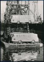 cca 1950-1960 Ghána, Buszok érkezése, kipakolás a hajóról, németül feliratozott sajtófotó, 17,5×13 cm