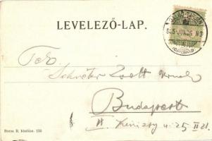 1905 Salgótarján, Salgó vár. Kiadja Boros R. 155. (EK)