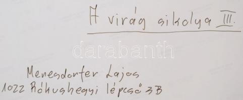 cca 1993 Menesdorfer Lajos (1941-2005) budapesti fotóművész hagyatékából, feliratozott vintage fényk...
