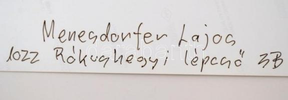 cca 1992 Menesdorfer Lajos (1941-2005) budapesti fotóművész hagyatékából, feliratozott vintage fényk...