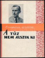 Rotman Miklós: A tűz nem alszik ki. (Török Pál élete és munkássága.) Uzshorod (Ungvár), 1966, Kárpáti Könyvkiadó. Kiadói papírkötésben. A szerző által dedikált.