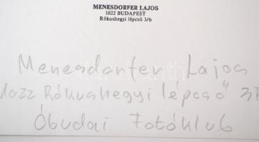 cca 1987 Menesdorfer Lajos (1941-2005) budapesti fotóművész hagyatékából, feliratozott, pecséttel je...