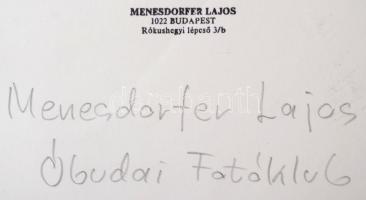 cca 1982 Menesdorfer Lajos (1941-2005) budapesti fotóművész hagyatékából, feliratozott,  pecséttel j...