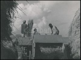 cca 1955 Osoha László (1899-1970) budapesti fotóművész hagyatékából 2 db vintage fotó (Cséplés), az ...