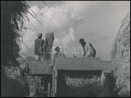 1952 Petőfi Tűzoltó Tisztképző Iskola tanárai és végzett növendékei, kistabló, 18x24 cm