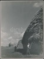 1952 Petőfi Tűzoltó Tisztképző Iskola tanárai és végzett növendékei, kistabló, 18x24 cm