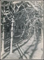 cca 1939 Dr. Leszl Kornél (?-?) budapesti fotóművész hagyatékából 3 db vintage fotóművészeti alkotás...