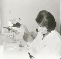 cca 1966 Velence, Agárd, az AGROKOMPLEX termékei, 21db vintage negatív Sinka Antal (?-?) hagyatékábó...