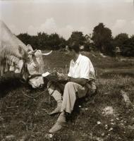 cca 1956 Kalocsa, fotóriport a tehéntartásról, Kotnyek Antal (1921-1990) budapesti fotóriporter hagy...