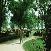 1955 Balatonfüred, Kotnyek Antal (1921-1990) budapesti fotóriporter hagyatékából 6 db vintage negatí...