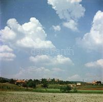 1955 Balatonfüred, Kotnyek Antal (1921-1990) budapesti fotóriporter hagyatékából 6 db vintage negatí...