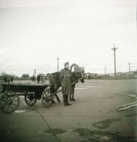 1942-1943 Katonai felvételek, Thöresz Dezső (1902-1963) békéscsabai gyógyszerész és fotóművész szolg...