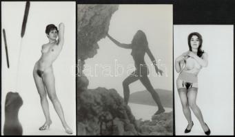 cca 1971 és 1987 között készült, szolidan erotikus felvételek, 12 db vintage fotó és/vagy mai nagyít...