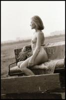 Mezei virágszál - cca 1975-ben készült, szolidan erotikus felvételek, 38 db vintage negatív, 24x36 mm