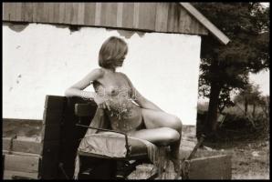 Mezei virágszál - cca 1975-ben készült, szolidan erotikus felvételek, 38 db vintage negatív, 24x36 m...