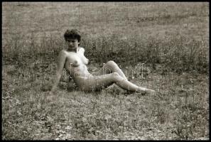 Mezei virágszál - cca 1975-ben készült, szolidan erotikus felvételek, 38 db vintage negatív, 24x36 m...