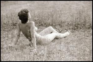 Mezei virágszál - cca 1975-ben készült, szolidan erotikus felvételek, 38 db vintage negatív, 24x36 m...