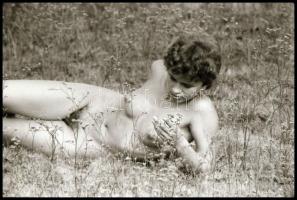 Mezei virágszál - cca 1975-ben készült, szolidan erotikus felvételek, 38 db vintage negatív, 24x36 m...