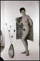 Van is, nincs is - cca 1972 és 1989 között készült, szolidan erotikus felvételek, 12 db vintage fotó...