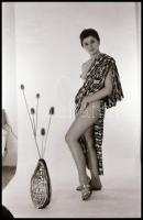 Van is, nincs is - cca 1972 és 1989 között készült, szolidan erotikus felvételek, 12 db vintage fotó...