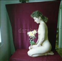 cca 1985 Aktfelvételek, 13 db vintage negatív, 6x6 cm