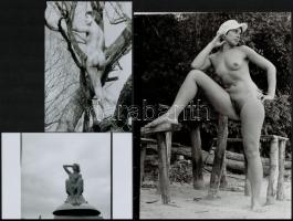 Leányságuk néhány epizódja - cca 1973 és 1986 között készült, szolidan erotikus felvételek, 10 db vi...