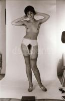 Leányságuk néhány epizódja - cca 1973 és 1986 között készült, szolidan erotikus felvételek, 10 db vi...