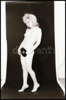 Bátor modellek a szocreál időszakából - cca 1970-1972 között készült, szolidan erotikus felvételek, ...