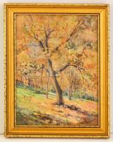 Neogrády jelzéssel: Őszi erdő részlet. Akvarell, papír, üvegezett keretben, 36×28 cm