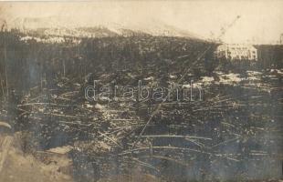 1914 Tátraszéplak, Weszterheim, Tatranska Polianka (Tátra, Vysoké Tatry); Széldöntés, Mauer Irén felvétele / Windbruch / Wind storm devastation. photo