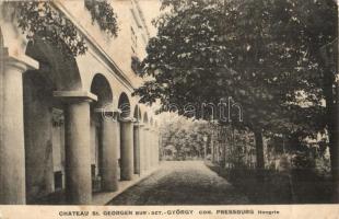 1919 Búrszentgyörgy, Bur-Sankt-Georg, Borsky Sväty Jur; Chateau / kastély / castle (fa)