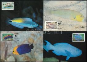 1984 WWF: Halak sor 4 db CM-en, WWF: Fishes set on 4 CM Mi 1299-1302
