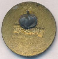 DN "Éljen a Tanácsköztársaság" fém gomblyukjelvény (25mm) T:2 tűhiány