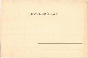 Barcarozsnyó, Rozsnyó, Rasnov, Rosenau; utcakép a várral és evangélikus templommal. Jos. Drotleff / ...