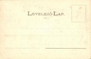 Zboró, Zborov; várrom, II. Rákóczi Ferenc egykori lakóhelye. Divald Adolf kiadása / Schlossruine / c...