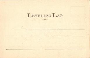 Bártfa, Bardejov, Bardiov; Városháza (magyar címer a falán), Szent Egyed templom. Divald Adolf kiadá...