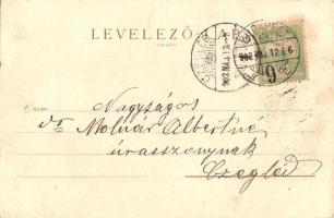 1902 Budapest, Igazságügyi palota, Szervita templom, Országház, Budai Lánchídfő. Brüder Kohn lóherés...