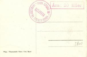 A betegnyugvó állomás munkája, Mindenki a betegnyugvó állomás levelezőlapján írjon. Vöröskereszt Egy...