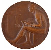 Berán Lajos (1882-1943) 1909. "Kőrösi Csoma Sándor 1784-1842" kétoldalas Br emlékérem, az ...