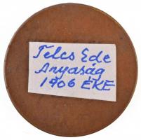 Telcs Ede (1872-1948) 1909. "Budapesti Leányegyesület" egyoldalas Br emlékérem (21,25g/36,...