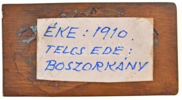Telcs Ede (1872-1948) 1910. "Boszorkány" mesés motívumokat ábrázoló egyoldalas Br plakett,...