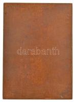 Zsákodi Csiszér János (1883-1953) 1913. "Kiss József 1843-1913 / Ne tapsoljatok! A taps a darab...