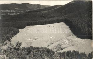 1937 Négyfalu, Sacele; Poiana Angelescu / Angelescu tisztás, mező / glade, meadow. Foto Sport G. Gödri photo