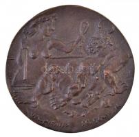 Borsos Miklós (1906-1990) 1955. "Hommage a Picasso" Br plakett (228g/84mm) T:1- kis patina...