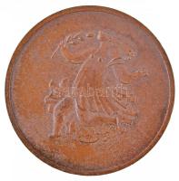 DN "Ady Endre 1877-1919" Br emlékérem (78g/60mm) T:1-,2 / Hungary "Endre Ady 1877-191...