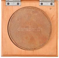 DN "Vakokért és gyengélátókért - Dr. Thész László emlékére" egyoldalas Br emlékérem, fa to...